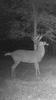 Kansas Archery/Rifle Deer Hunting-screenshot_20161020-163213.jpg