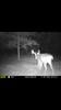 Kansas Archery/Rifle Deer Hunting-screenshot_20161020-163805.jpg