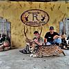 South Texas EXOTICS/Rams/Hogs - rifle or bow. Beautiful ranch ! Great prices !!!!!!!-1.jpg