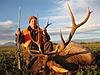 Colorado Rifle Elk Hunts-coloradorifleelk3.jpg