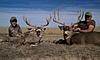 Colorado Archery Mule Deer Hunt w/Voucher-coloradomuledeer12.jpg