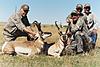 Colorado Trophy Rifle Antelope Hunts-coloradorifleantelope.jpg