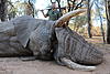 Elephant Hunt Namibia U$ 30,000. 2017 only-elephant-christian-fast-copy.jpg