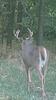 Kansas Archery/Rifle Deer Hunting-screenshot_20170920-121558.jpg