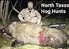 North Texas Wild hog and Exotic Rams-img_5904.jpg