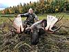 Alaska Trophy Moose Hunt-img953657.jpg