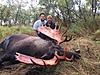 Alaska Trophy Moose Hunt-img953509.jpg