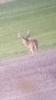 Kansas Archery/Rifle Deer Hunting-screenshot_20171028-203102.jpg