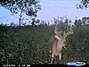 Kansas guided Bow hunts-cdy_0007.jpg