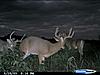 Kansas guided Bow hunts-cdy_0146.jpg