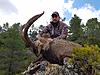 Ibex hunting in Spain - Gredos, Beceite, Sierra Nevada and Ronda Ibex-macho3.jpg