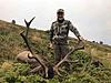 Mountain Red Stag hunting in Bulgaria-elen-2.jpg