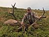 Mountain Red Stag hunting in Bulgaria-elen-3.jpg