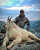 B.C Mtn Goat hunt-goat.jpg