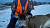 Montana Youth Deer and Turkey Hunt-morgan-buck.jpeg