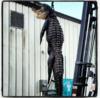 Florida Alligator Hunt-20170721_091141.png