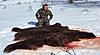 Brown bear hunting in Kamchatka-img-20180510-wa0000.jpg