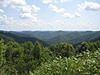 Southern WV (Bow Only County) ATV/Scouting/Hunting-img_0053.jpg