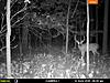 2018 Midwest Illinois Archery Hunts-e03420db-97fe-432d-bfb4-9adea7102287.jpeg