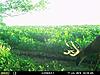 2018 Midwest Illinois Archery Hunts-1809603f-89bc-4182-8ec1-0285bb0e8dc0.jpeg