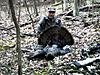 Guided ny spring turkey hunts now being booked-carolina-skiff-128-.jpg