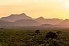 Hunting in Africa with Greater Kuduland Safaris-gks-view-2.jpeg