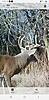 Kansas Archery/Rifle Deer Hunting-screenshot_20191113-203920_messages.jpg