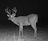 Kansas Archery/Rifle Deer Hunting-20191111_192203.jpg