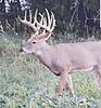 Kansas Archery/Rifle Deer Hunting-screenshot_20190908-194227_covertwireless.jpg