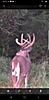 Kansas Archery/Rifle Deer Hunting-screenshot_20190904-104206_gallery.jpg