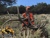 Hunt Utah With Shane Scott Outfitting-2017elk52.jpg