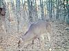 Ohio Trophy Whitetail Hunts on Private Properties-20191112_225438.jpg