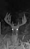 Kansas Archery/Rifle Deer Hunting-screenshot_20200819-213627_gallery.jpg