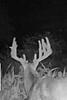 Kansas Archery/Rifle Deer Hunting-screenshot_20200819-213717_gallery.jpg
