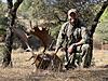Covid Special Hunts, Must See!-bronze-fallow.jpg