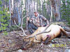 Discounted Wyoming Elk Hunts-big-bull.jpg