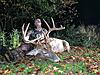 OhioWRO Hunts Avail - Northeast, Ohio-ufc.jpg