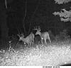 Deer Hunting Club in Buffalo County WI-2021-6-21-1-002-.jpg