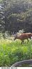Deer Hunting Club in Buffalo County WI-screenshot_20210804-110758_gallery-002-.jpg