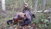 Name:  brown-bear-Karelia7-copy-e1571245093846.jpg
Views: 26
Size:  8.5 KB