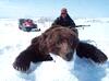 Trophy Hunting in Russia-bear.png