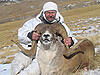 Trophy Hunting in Russia-marco-polo_220-165.jpg