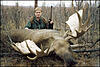 Trophy Hunting in Russia-moose-hunting.jpg