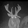 Kansas Archery/Rifle Deer Hunting-screenshot_20211127-214559_gallery.jpg