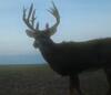 Kansas Archery/Rifle Deer Hunting-screenshot_20211127-214525_gallery.jpg