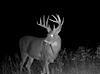 Kansas Archery/Rifle Deer Hunting-screenshot_20211127-214451_gallery.jpg