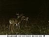 Kansas Archery/Rifle Deer Hunting-sunp0042.jpgsmall.jpg