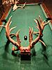 Kansas Archery/Rifle Deer Hunting-screenshot_20231202_012219_gallery.jpg