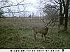 Kansas Archery/Rifle Deer Hunting-sunp0064.jpgsmall.jpg