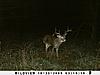Kansas Archery/Rifle Deer Hunting-sunp0112.jpgsmall.jpg